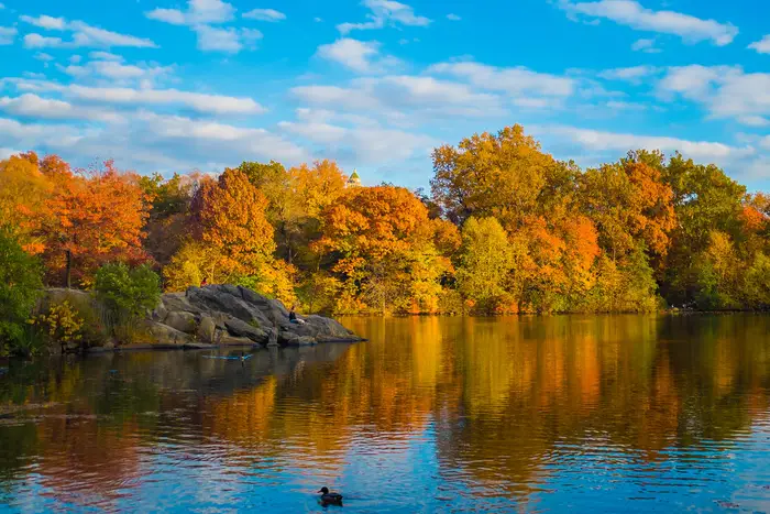 A photograph of the red, gold, orange autumn trees by the lake